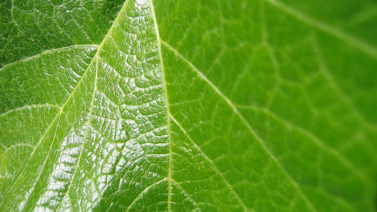 |话少的人更需要掌握这四个说话高效话术