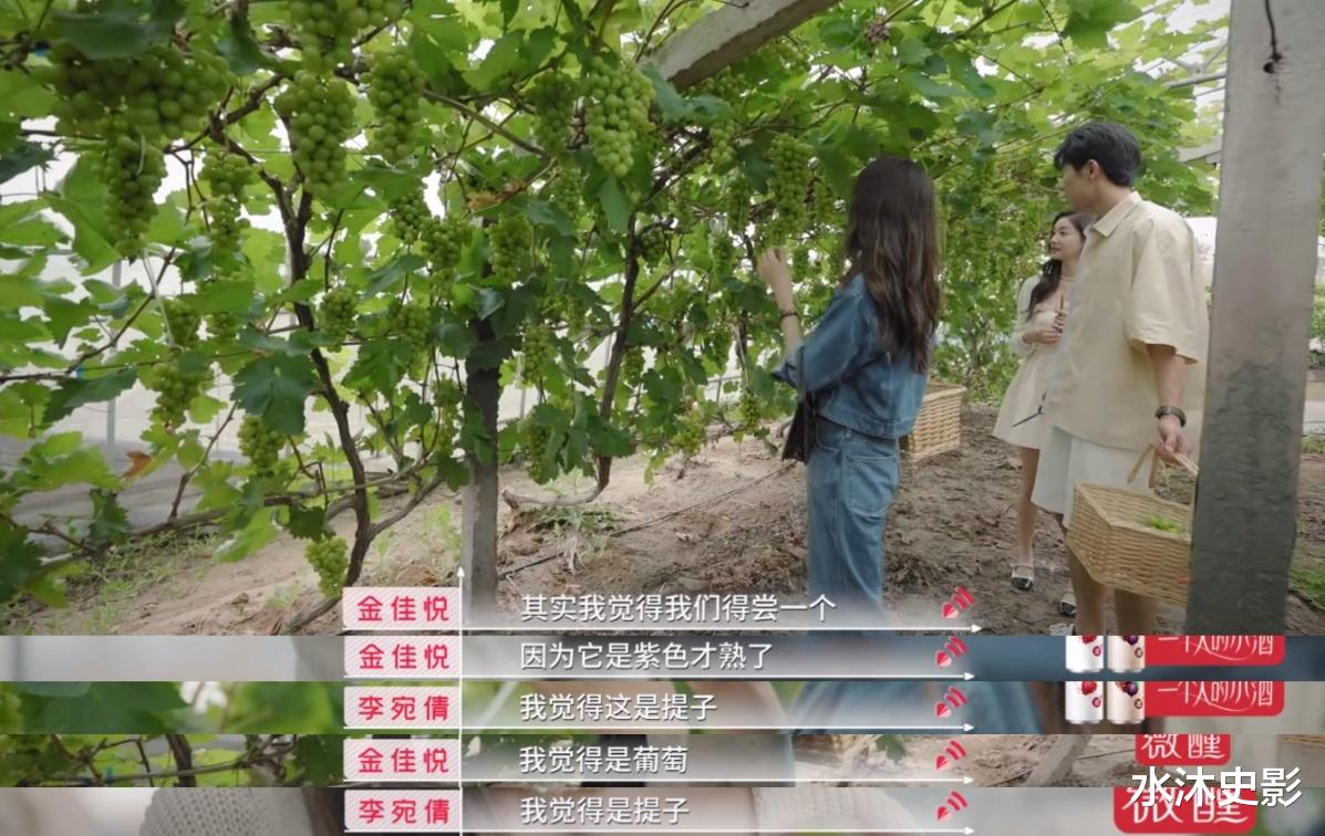 郭浩然|心动的信号5:资深醋坛李宛倩掀酸意,下意识别金佳悦风头,让郭浩然为难