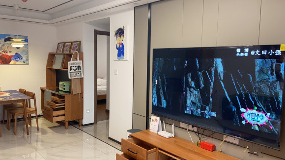 新房软装中,户型很小,家里东西太多,感觉都有点乱了