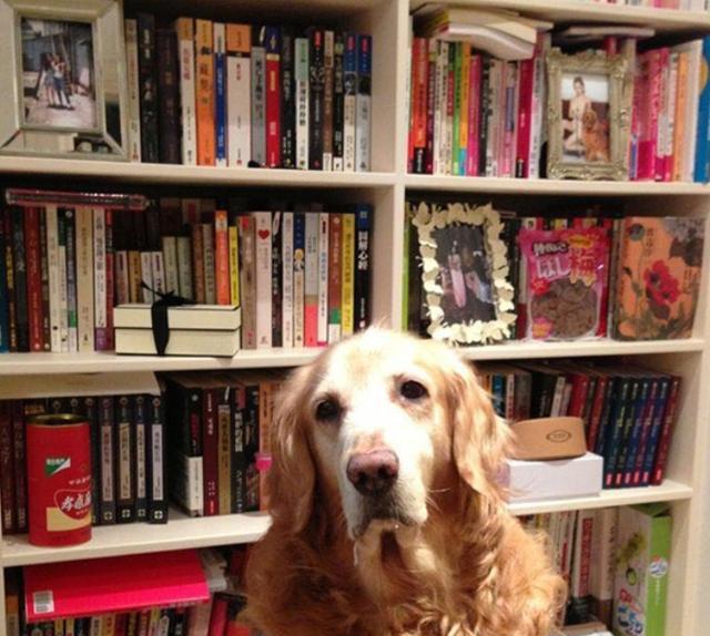 参观吴佩慈住的豪宅,客厅沙发都带雕花的,生活过得像贵妃