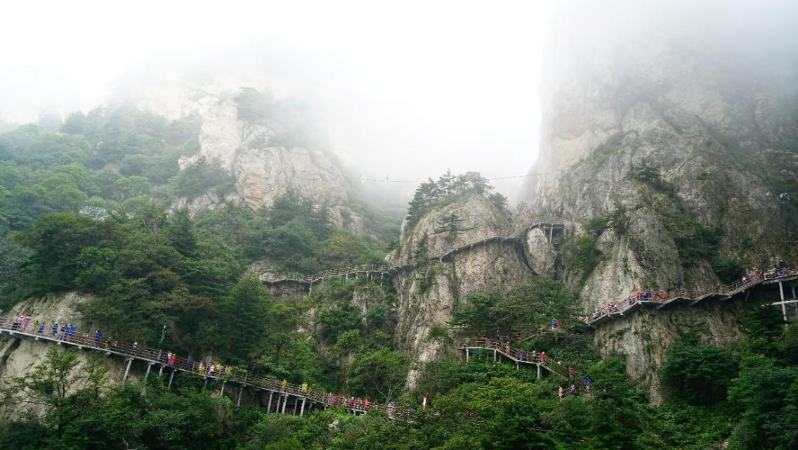 凯特·米德尔顿|去老君山一定要把握好两个时机，否则就会错过最美风景