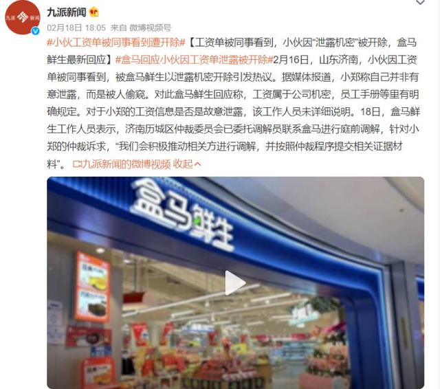 马凡舒|知道同事的工资后,我被开除了