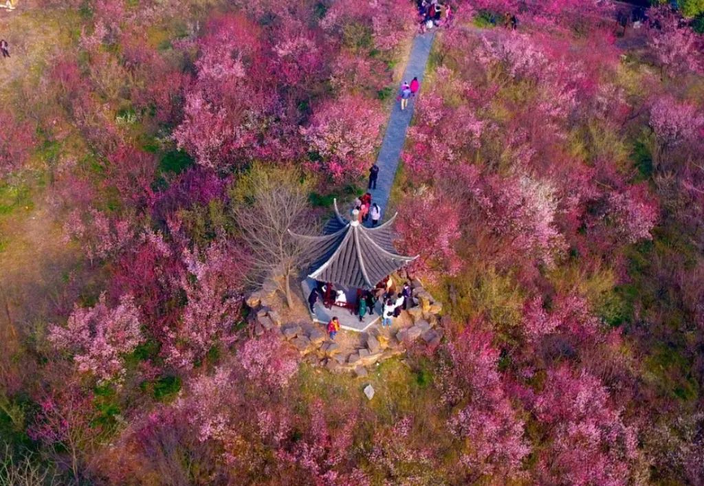 扬州|旅行者的养老模式——旅居养老详解