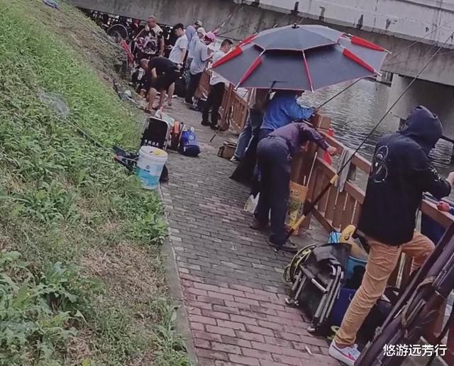 河豚|河道有人放生一车鲫鱼,钓鱼人上演抢鱼大战,鱼护都装不下了