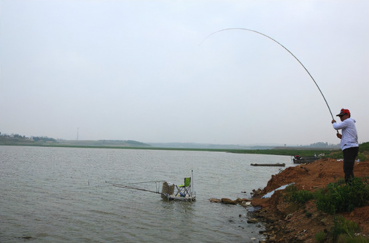 水库|渔乐杂谈：大型水库夏钓心得谈