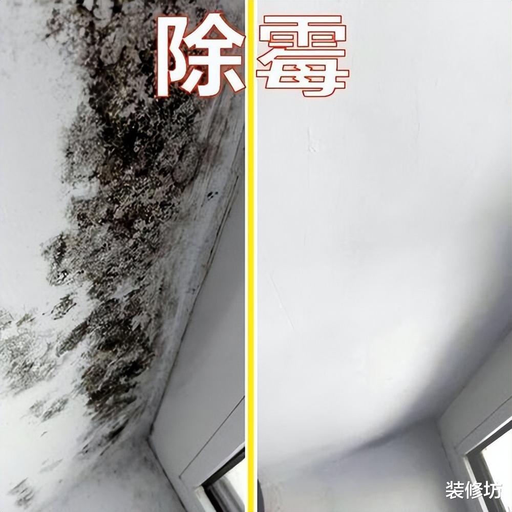 别再被套路了!这4种“脑袋进水”的家居产物,你们还在往家买吗