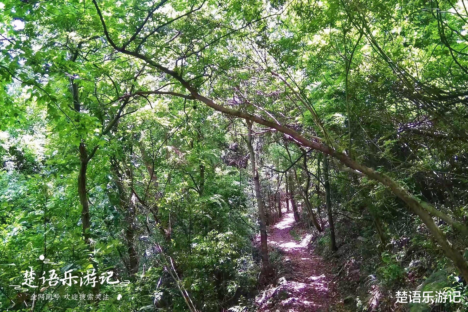 |浙江这个古村地处山岙，村头古道地处三界，风光秀丽成为赏秋胜地