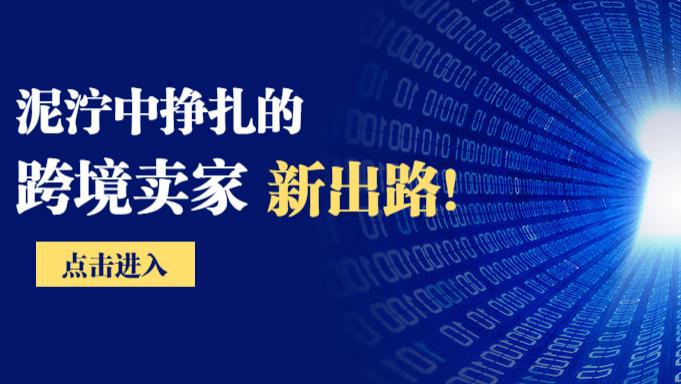 芯片|泥泞中挣扎的跨境卖家新出路！