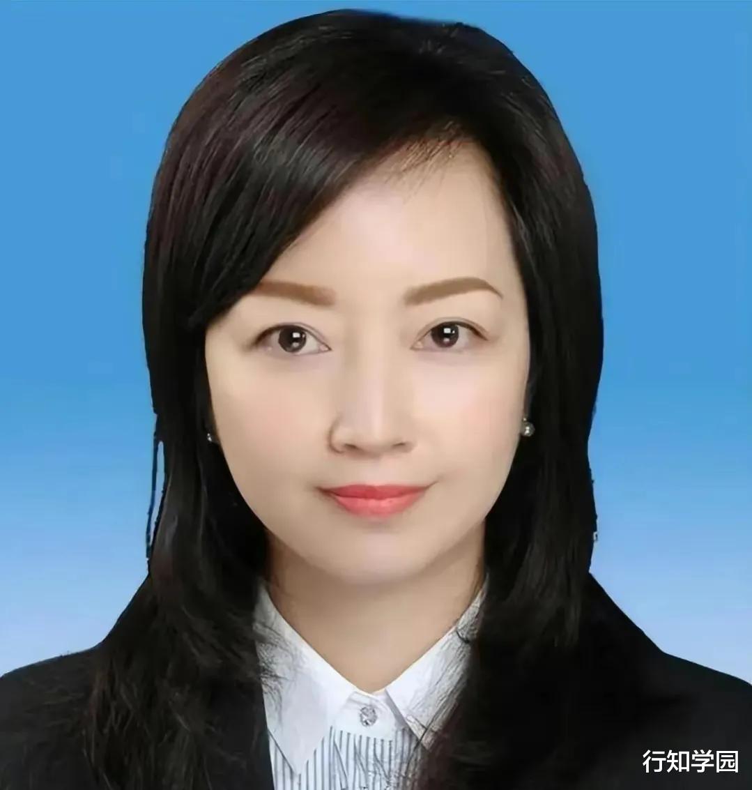 |到底是谁，在凌晨两三点左右，动了女副区长的手机？