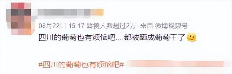年度最恶心热搜!“红油锅底”被嘲上榜,打破道德底线,惹怒全网