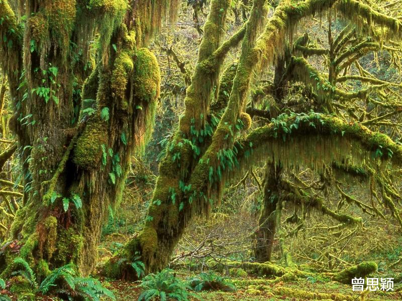 星座性格|这三个星座，既不会把好心得罪别人，也不会让坏心气坏自己