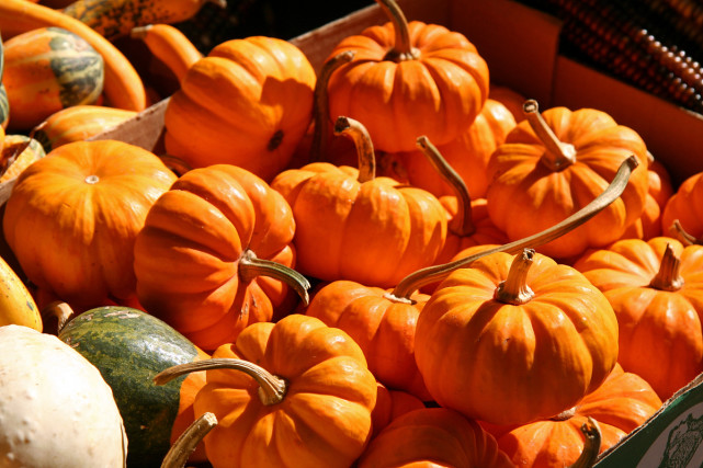 银屑病|银屑病饮食大全