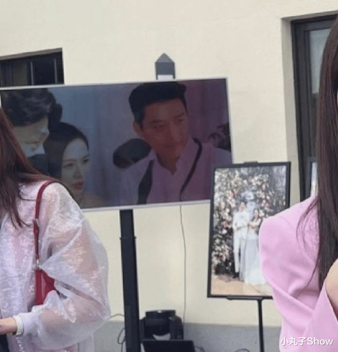 孙艺珍|孙艺珍玄彬夫妇太甜!拍婚纱照还带宠物狗,Kitty被当成小番茄养