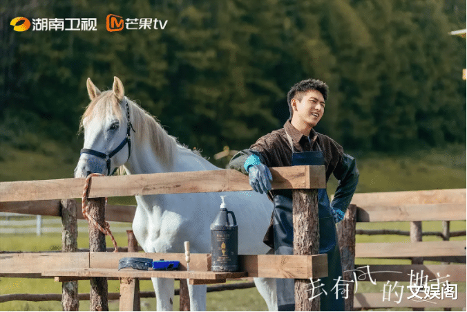 刘亦菲|《有风》快到大结局才发现,全剧最大的悬念,被刘亦菲揭开