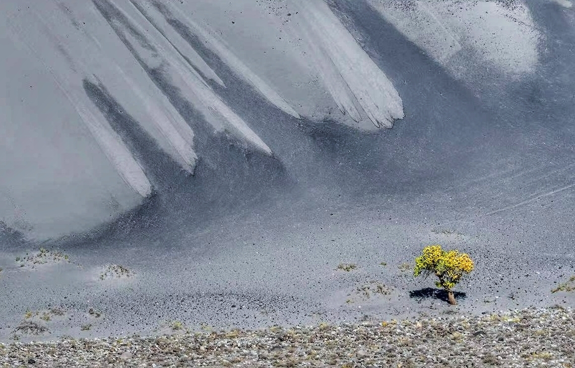 草原|10条顶级路线1条环中国线！115天的狂野人生，35000KM的伟大行程