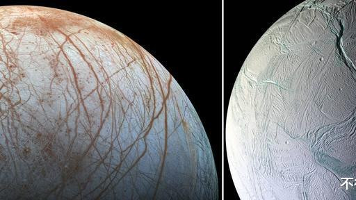 “基本确定”？木星卫星的海洋里，生活着章鱼一般的外星生物