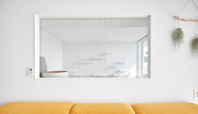 176有对双胞胎女儿+3只小猫,住大平层宽敞整洁,生活也很轻松