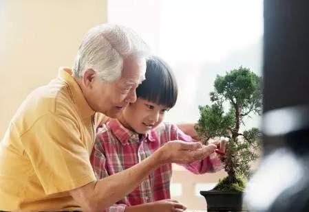 孩子越长越像爷爷?宝爸起疑心偷做亲子鉴定,结果悲剧了