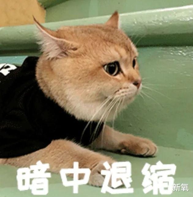 黑色素 扛得住4k高清镜头的她，皮肤状态是怎么保养的？