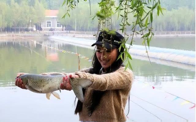 鲫鱼|浅谈钓鱼圈——美女钓手李梦瑶