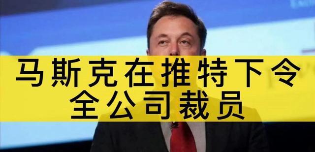 推特怀孕8个月员工也被裁，马斯克大刀阔斧错在谁？