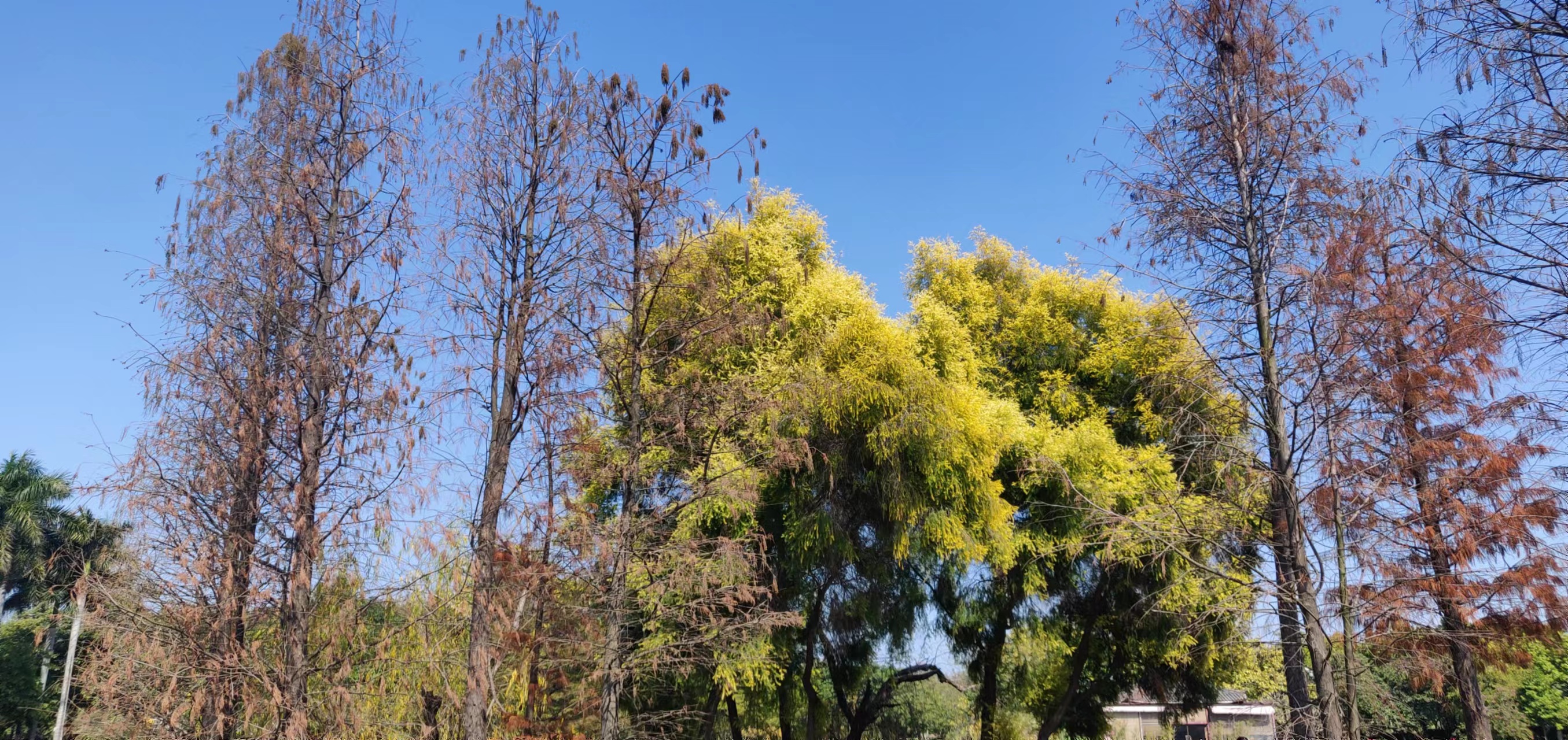 |工作中，总有这样那样的新问题