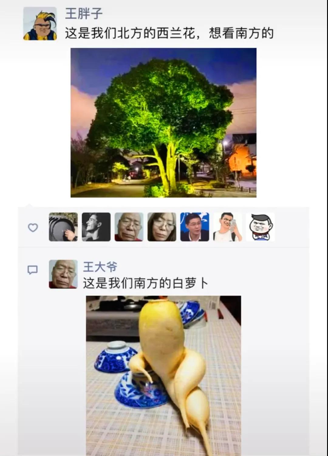 智联招聘|神回复：三个人打牌被抓，你猜是谁输了？神评笑死你