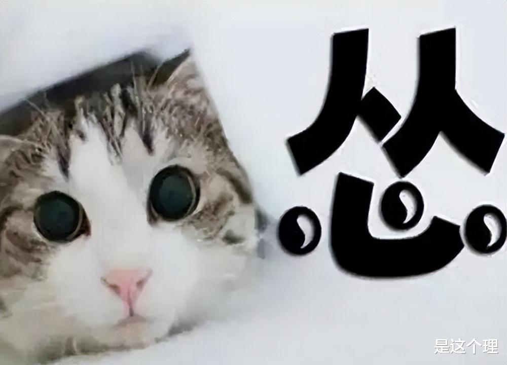 咳嗽|转阴后请继续认怂，三不吃，三不喝