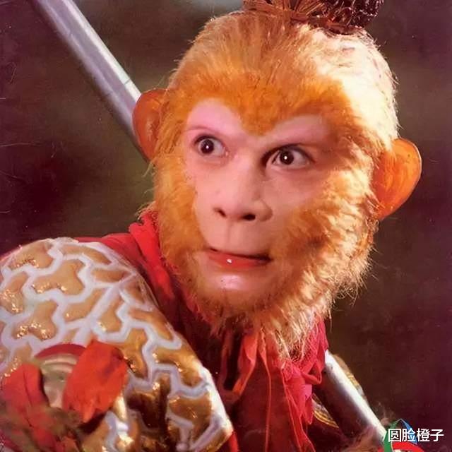 明星|谁说近视眼呆滞无光?这5位高度近视的女明星,眼里全是星星