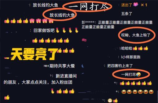 律师|许敏律师外出钓鱼,鱼被网子捞起暗示一网打尽,网友:天要亮了