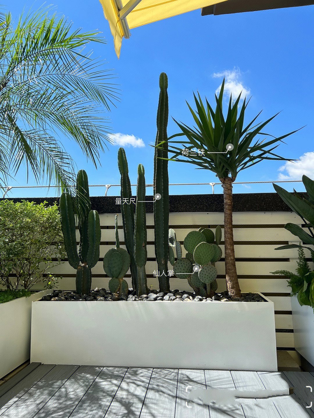 不顾反对,买了带80㎡露台的顶楼复式,打造成假日风露台空中花园