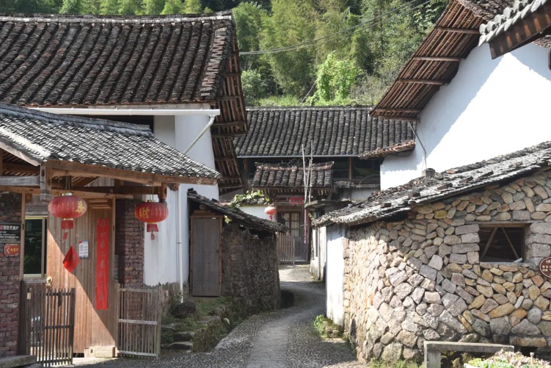 摄影比赛|浙南深山中有座中国传统村落，用石头建造，被多肉覆盖！