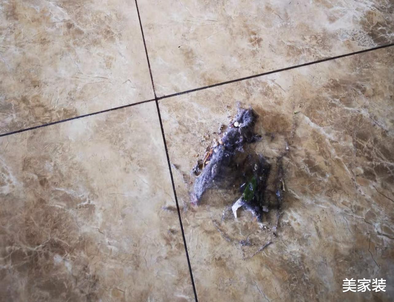 家里到处都是“毛絮”怎么办？老保洁教你1招，毛絮快速消失