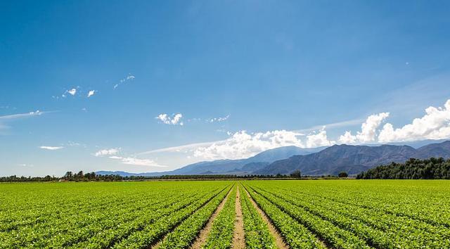 老伯在野外被毒蛇追着咬?到底是什么蛇这么凶猛