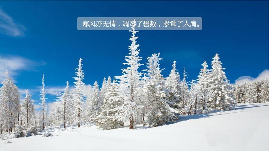 怀化|地产项目总，要做好过冬准备