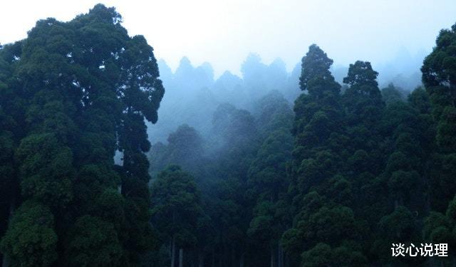 射手座|会撒娇,爱示弱,感情里最有心机的三个星座女,让人心动不已