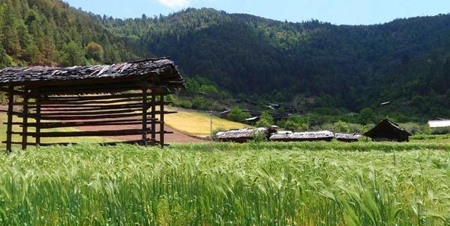 马场|《有风》里的漂亮马场，离洱海200多公里，曾藏在深山无人认识