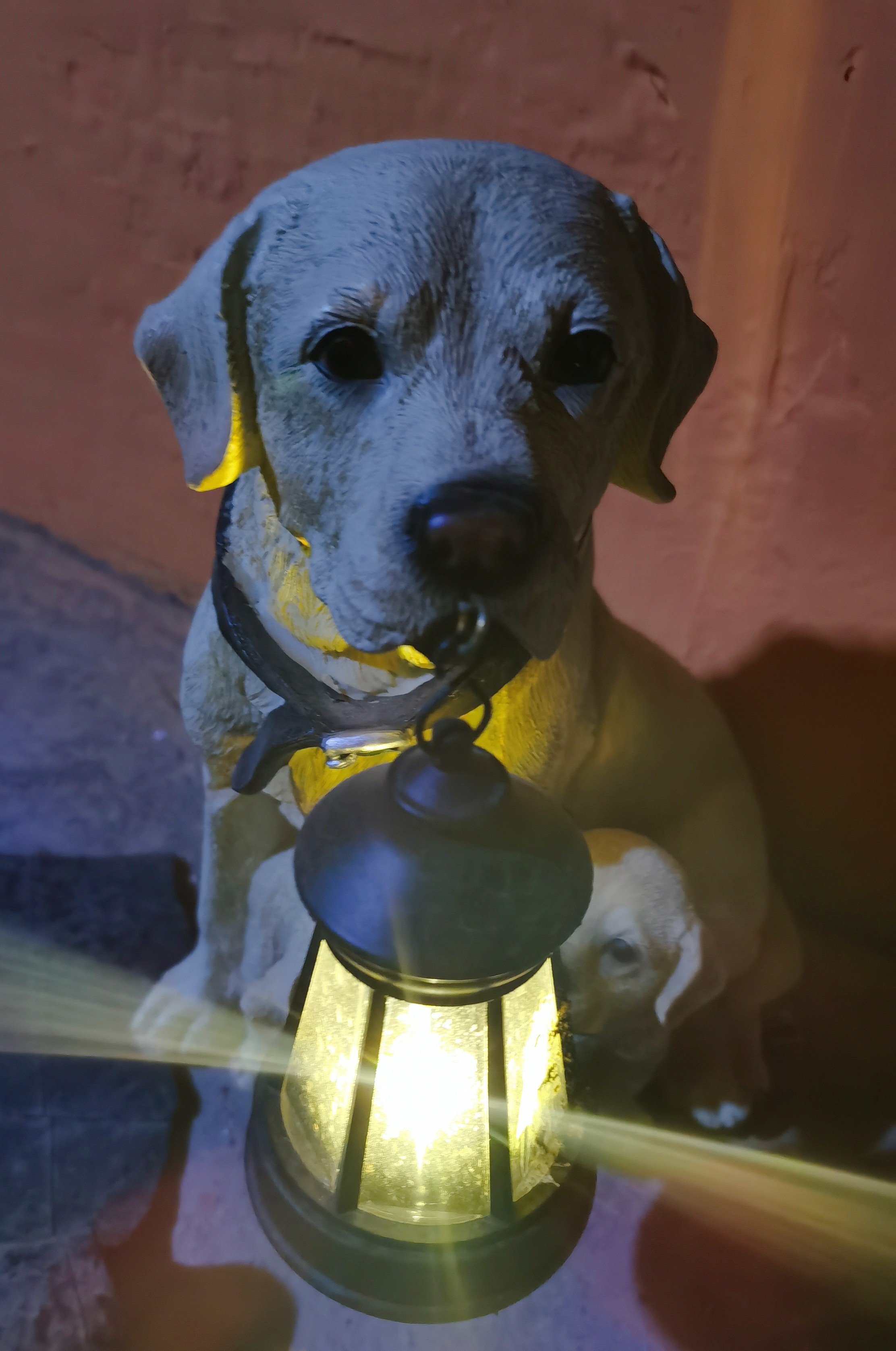 花6万块，打造40㎡一楼小院，鱼池 悬浮卡座 休闲平台一个都不少