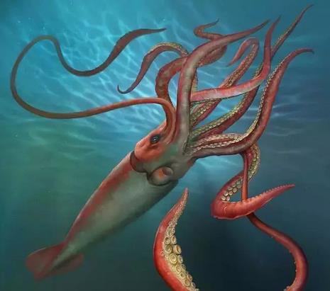 世界上10大海洋生物,蓝鲸只能排第2,第1名没想到是它!