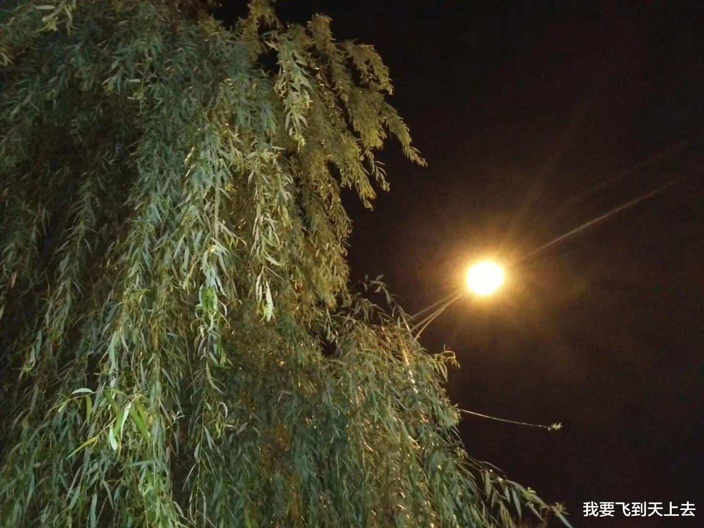 13岁男孩深夜潜入母亲的房间,用砍柴刀将母亲砍死