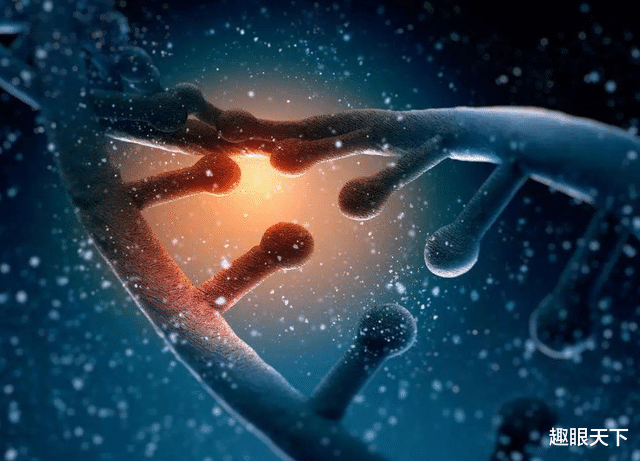 生命的终点原来在死亡之后?科学家研究人类基因有了惊人发现