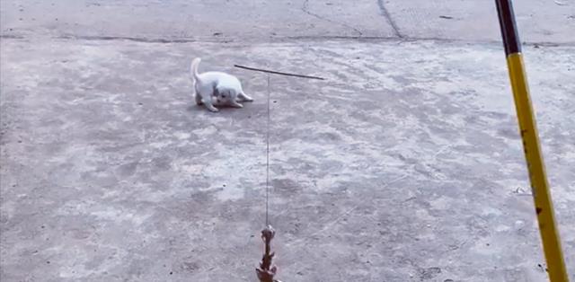 |四川男子禁渔期间想钓鱼，想出小妙招成功地过了瘾，网友直呼人才