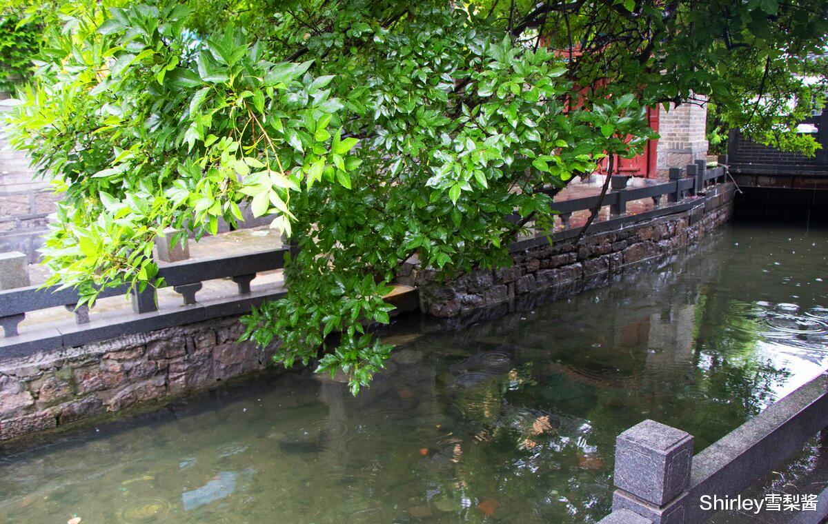 西藏|位于济南闹市却游客罕至的老街,比曲水亭街更有烟火气,藏着地图上找不到的小江南