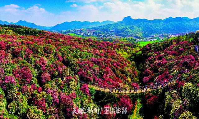 毕节|建设精品景区 培育品牌赛事|毕节市加快体旅融合促产业提质升级