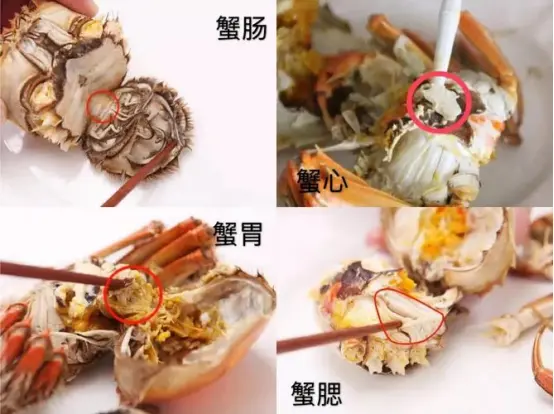 同是水生生物,为何只有蟹心是“极寒”不能吃?