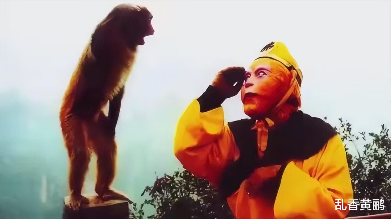 杨洁|86《西游记》杨洁看中一位“猴子”，演技堪称一绝，六龄童百般阻拦