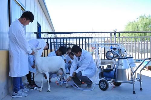 大学|盘点四个好玩又实用的专业，学习和玩两不耽误，毕业还好找工作