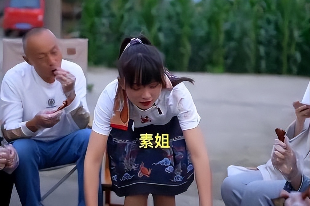 人物设定|坐拥900万粉丝的网红严素，行为不检点，穿JK裙挖菜只是冰山一角