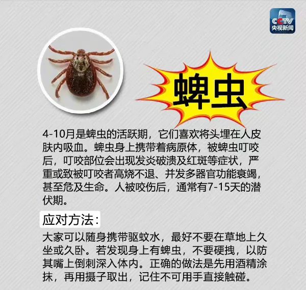 夏季蚊虫出没,这份最全防虫手册及应对方法请收好
