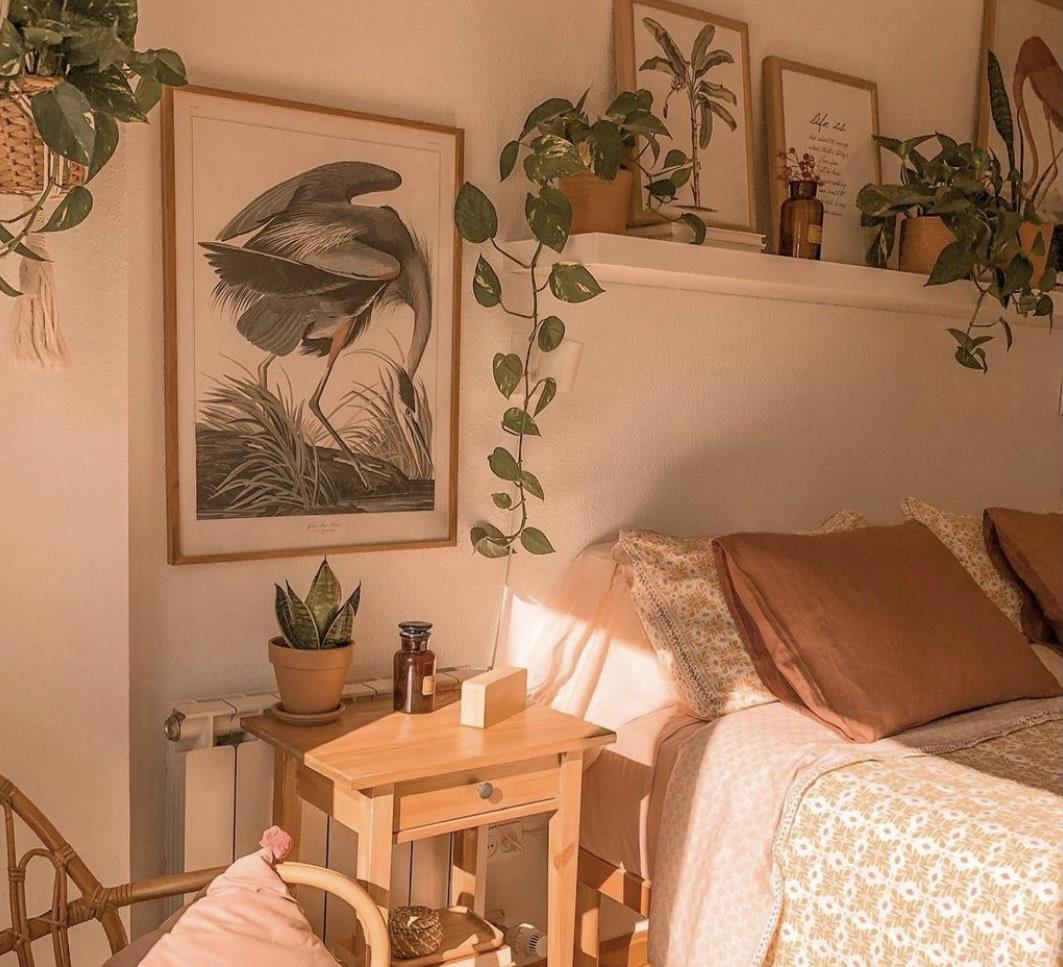 西班牙独身女主,因会生活而走红网络,全屋温暖如春,生活超精致